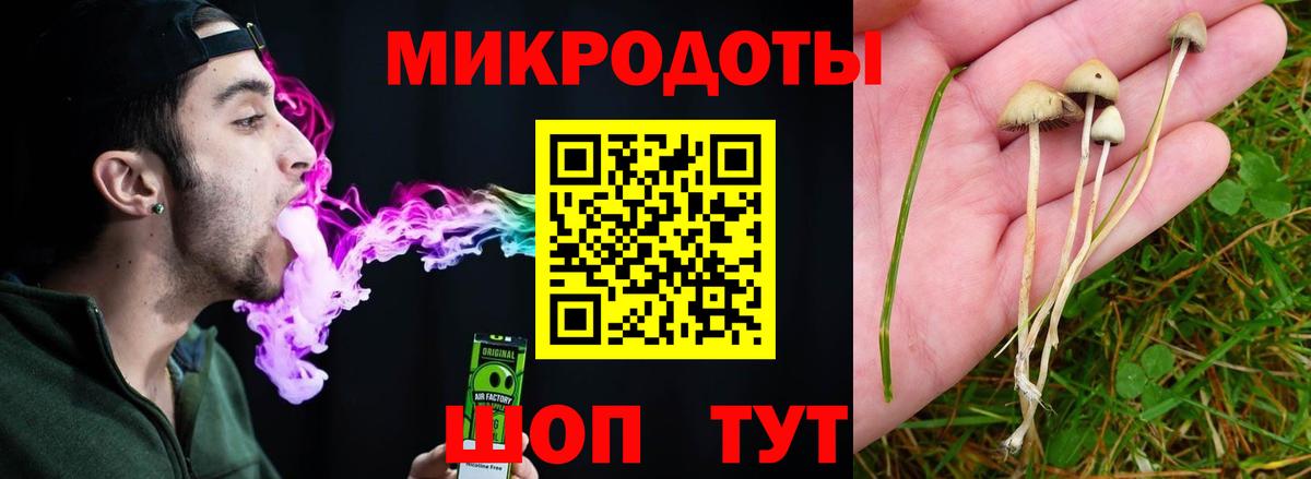 Галлюциногенные грибы Cubensis Чебаркуль